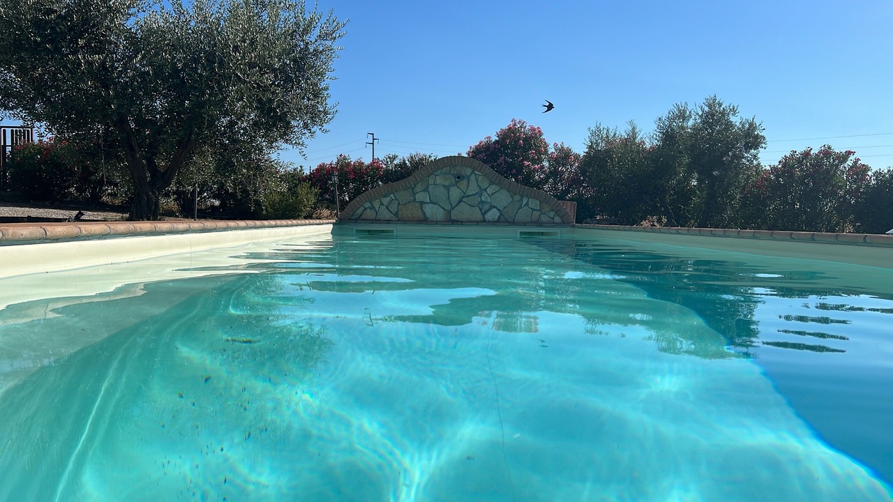 Photo of Outdoor in Canino