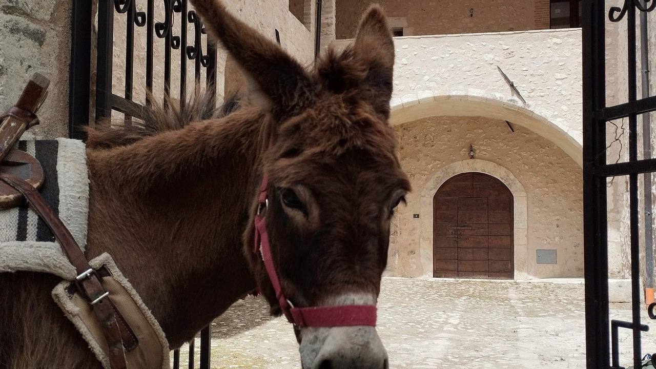 Photo of Outdoor in Tione degli Abruzzi