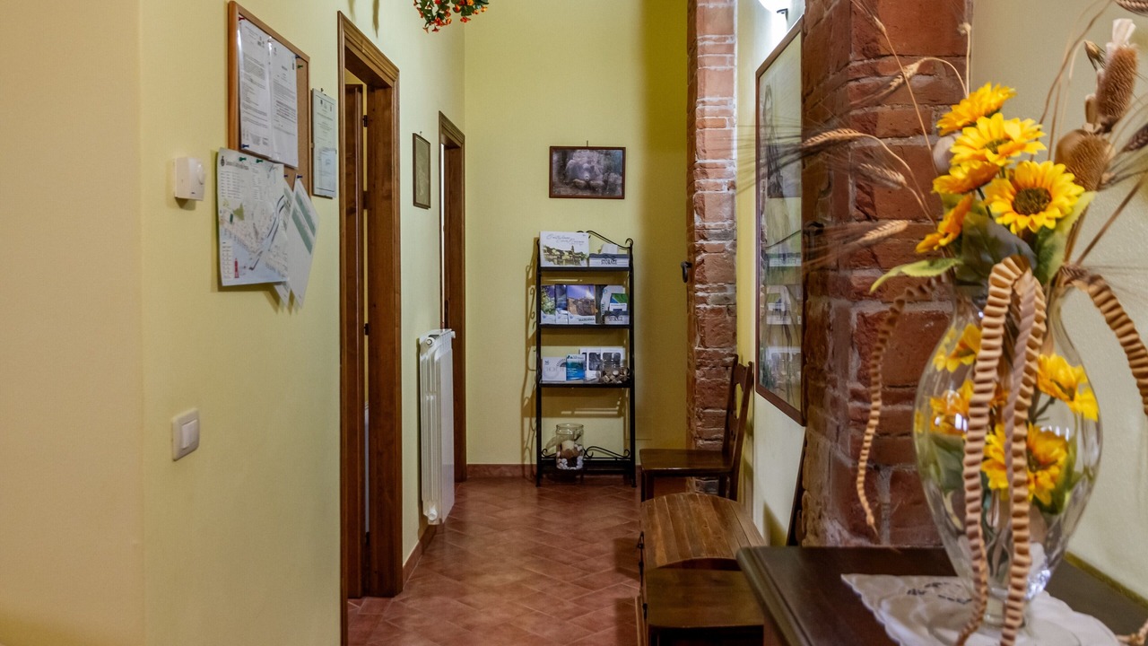 Photo of Others in Castiglione della Pescaia