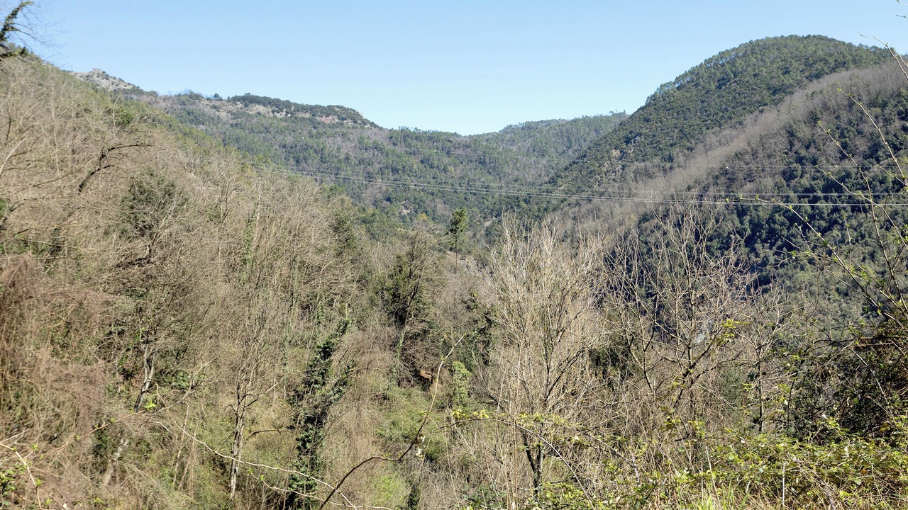 Photo of Others in Rocchetta di Vara