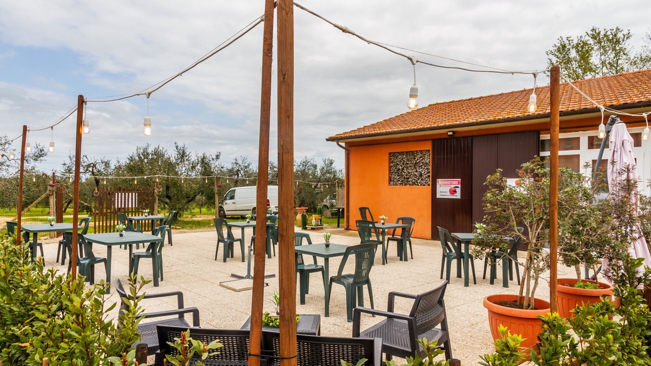 Photo of Outdoor in Grosseto