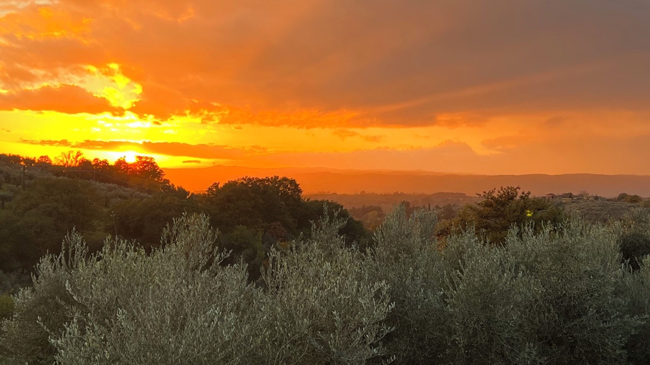 Photo of Others in Fara in Sabina
