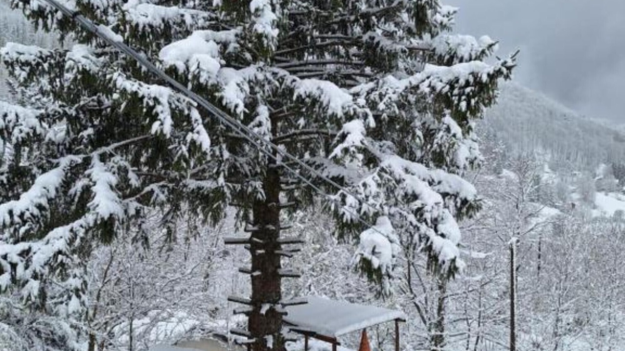 Photo of Outdoor in Santo Stefano dʼAveto