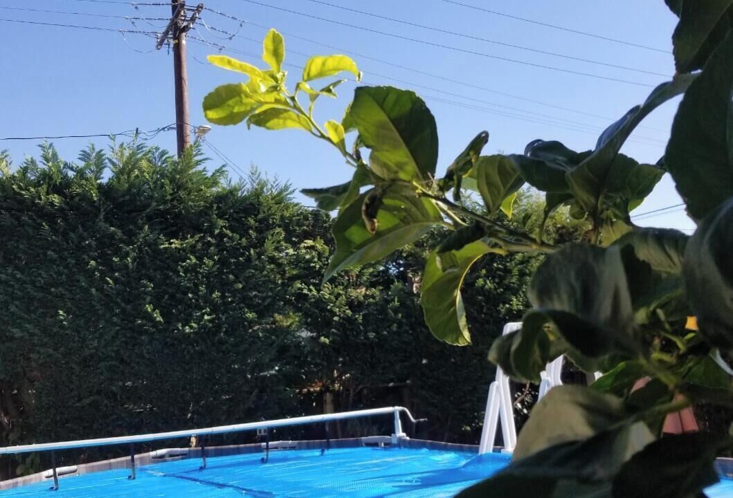 Photo of Outdoor in Lawndale