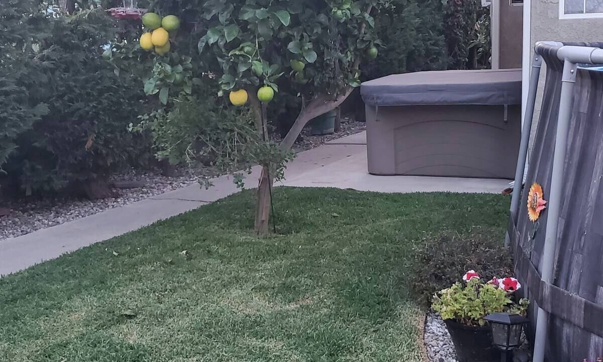 Photo of Outdoor in Lawndale