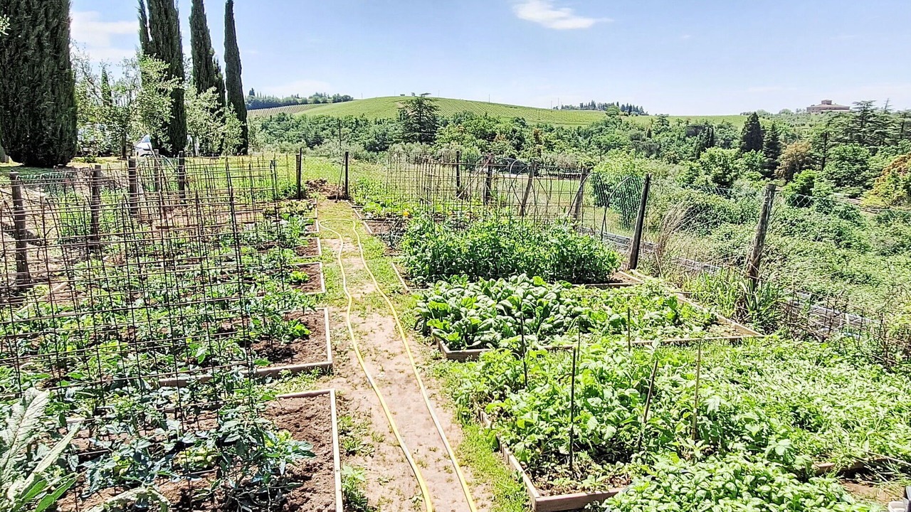 Photo of Outdoor in Gaiole in Chianti