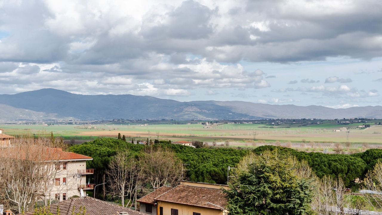 Photo of Others in Foiano della Chiana