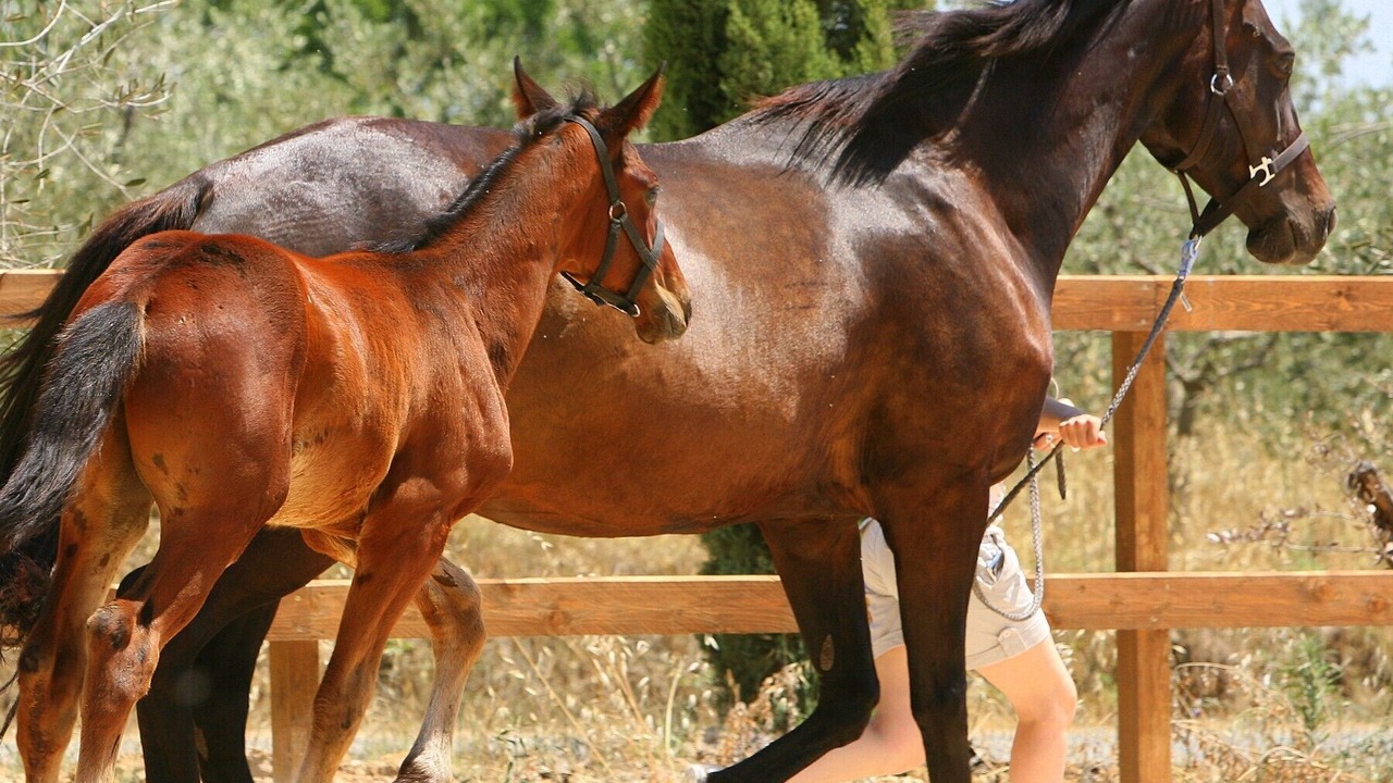 Photo of Others in Pomarance
