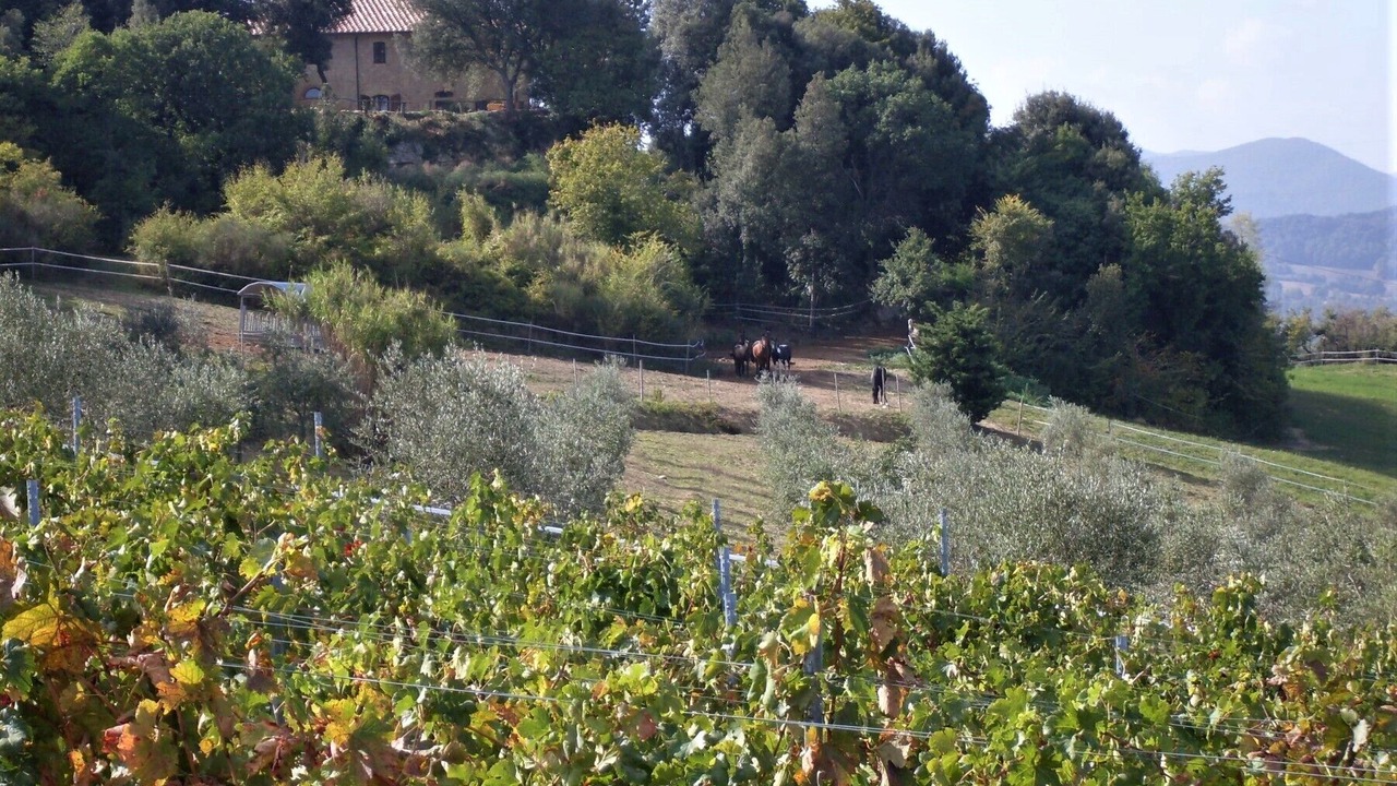 Photo of Others in Pomarance