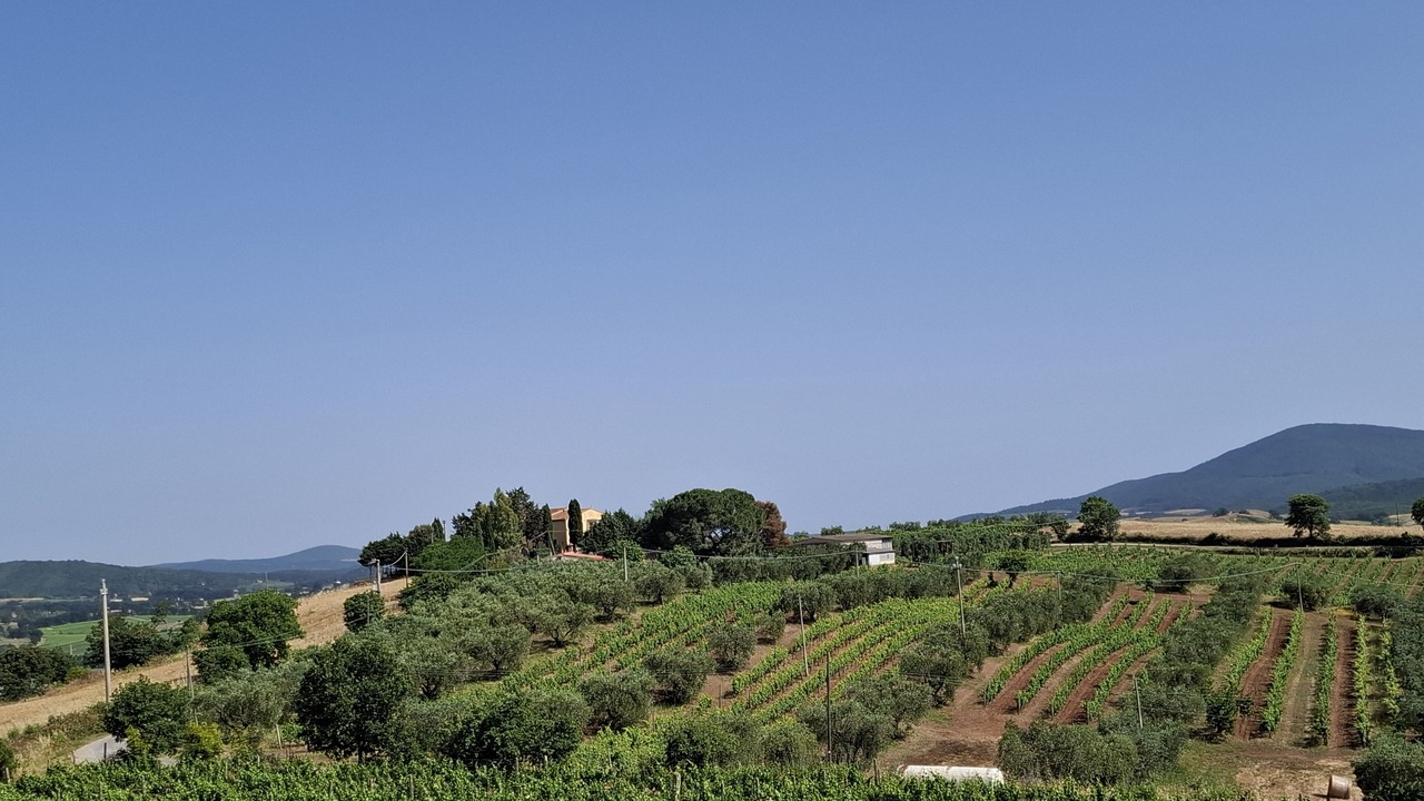 Photo of Others in Capalbio