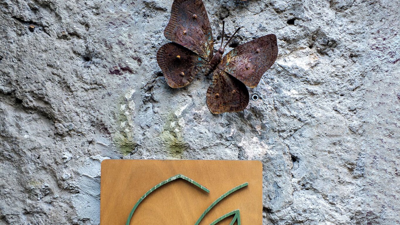 Photo of Outdoor in Calcata