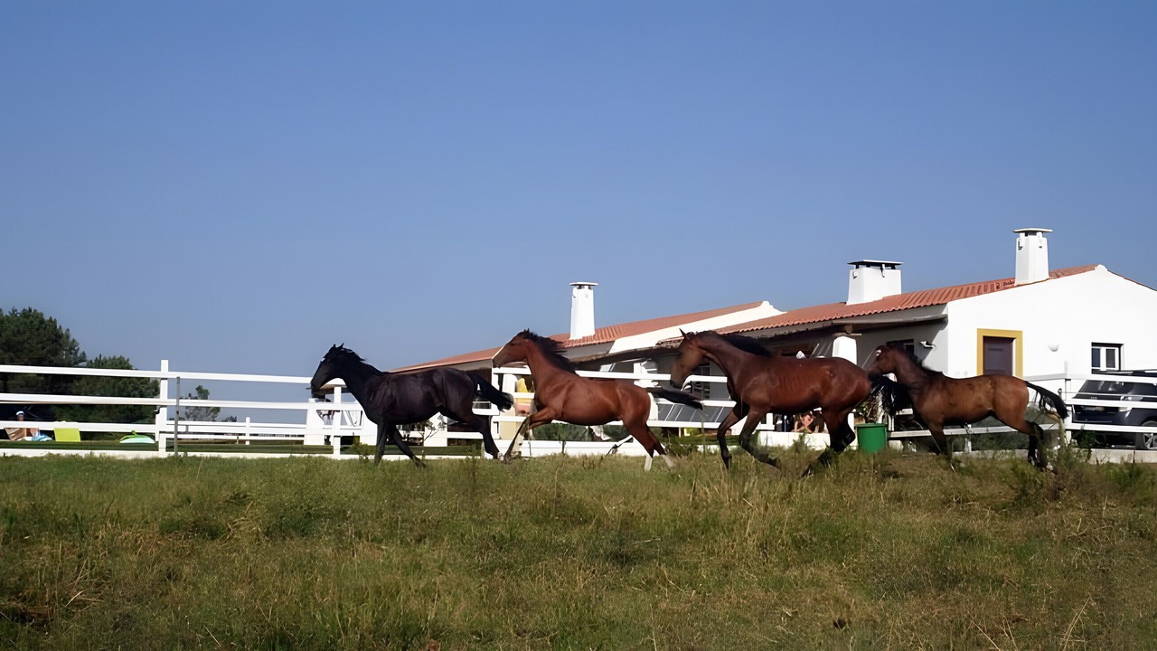 Photo of Others in Zambujeira do Mar