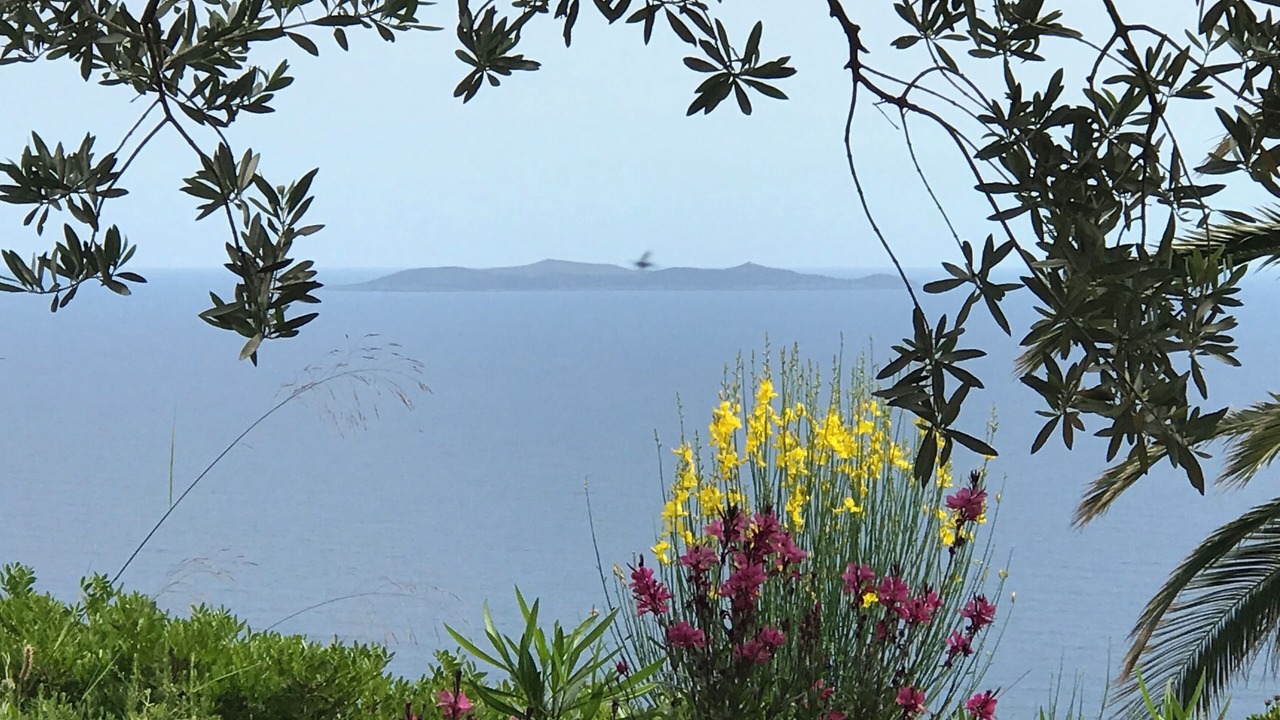 Photo of Others in Monte Argentario