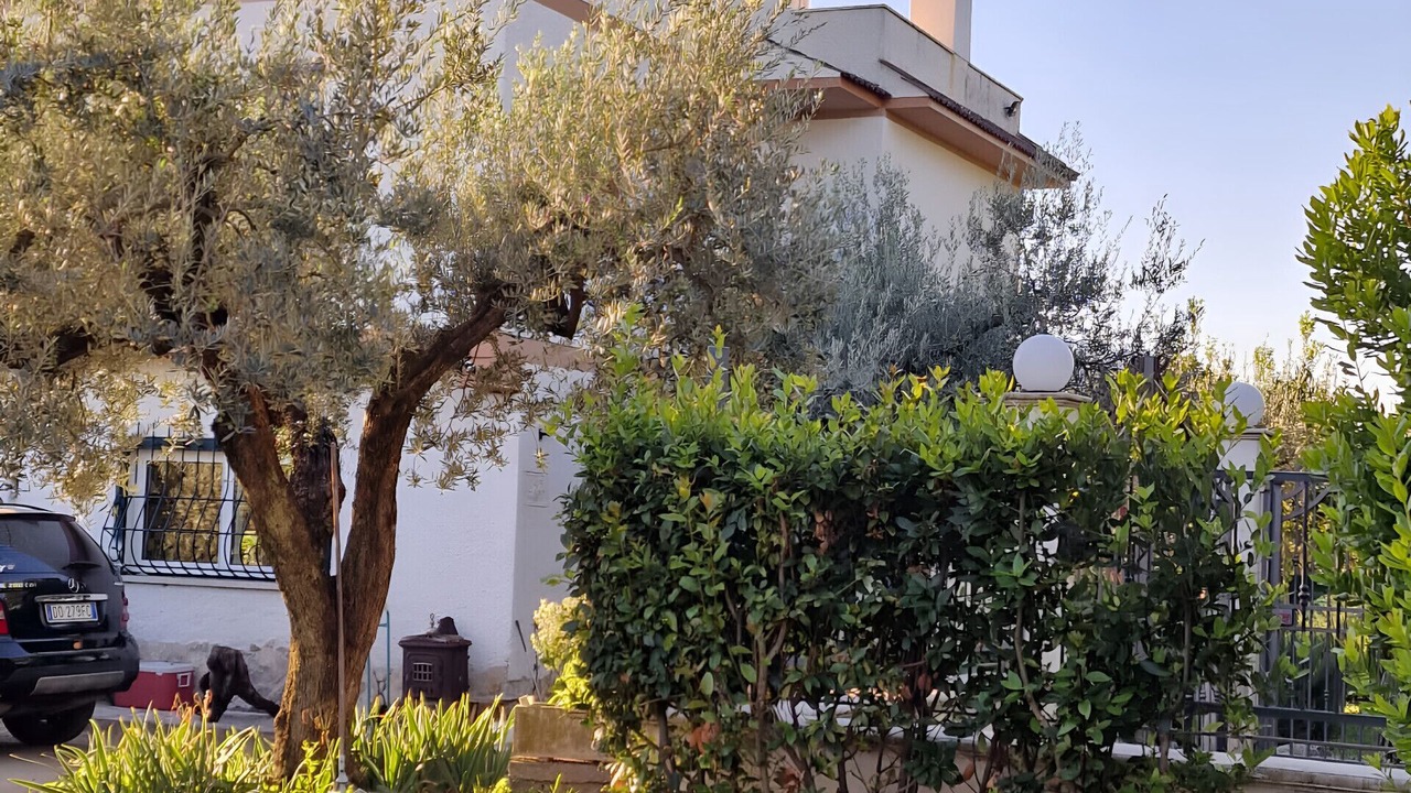Photo of Outdoor in Nerola
