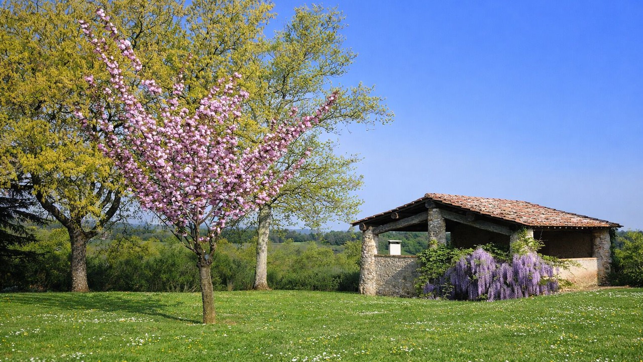 Photo of Outdoor in Colle di Val d'Elsa