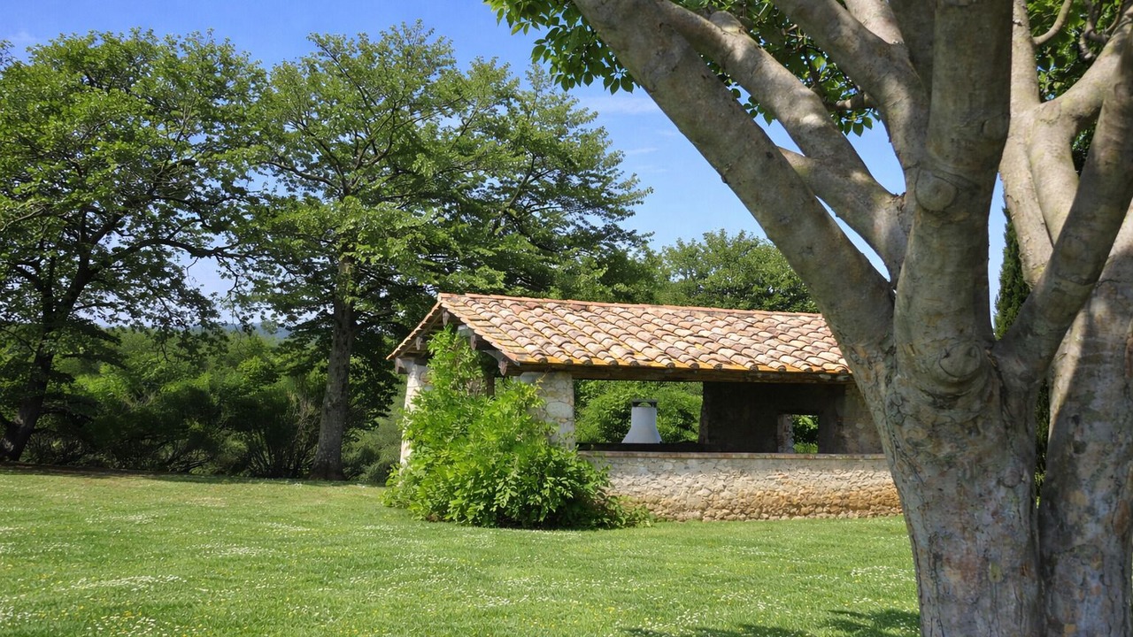 Photo of Outdoor in Colle di Val d'Elsa