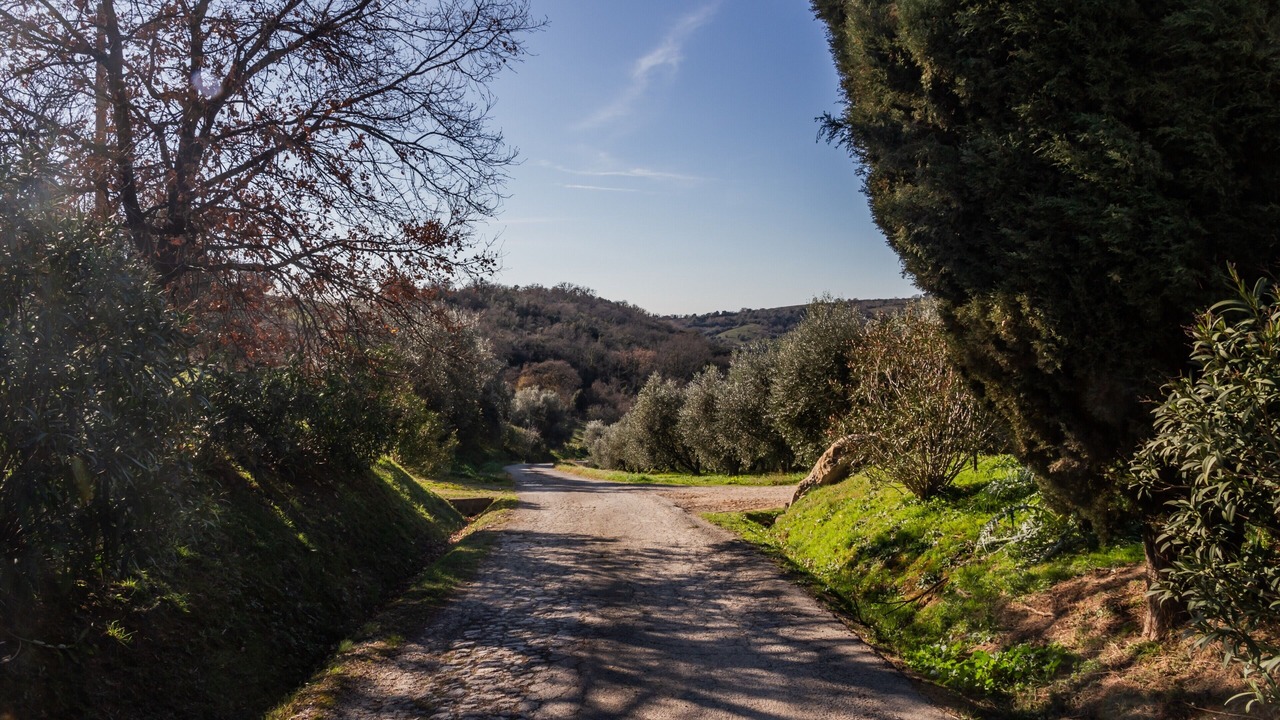 Photo of Others in Magliano in Toscana
