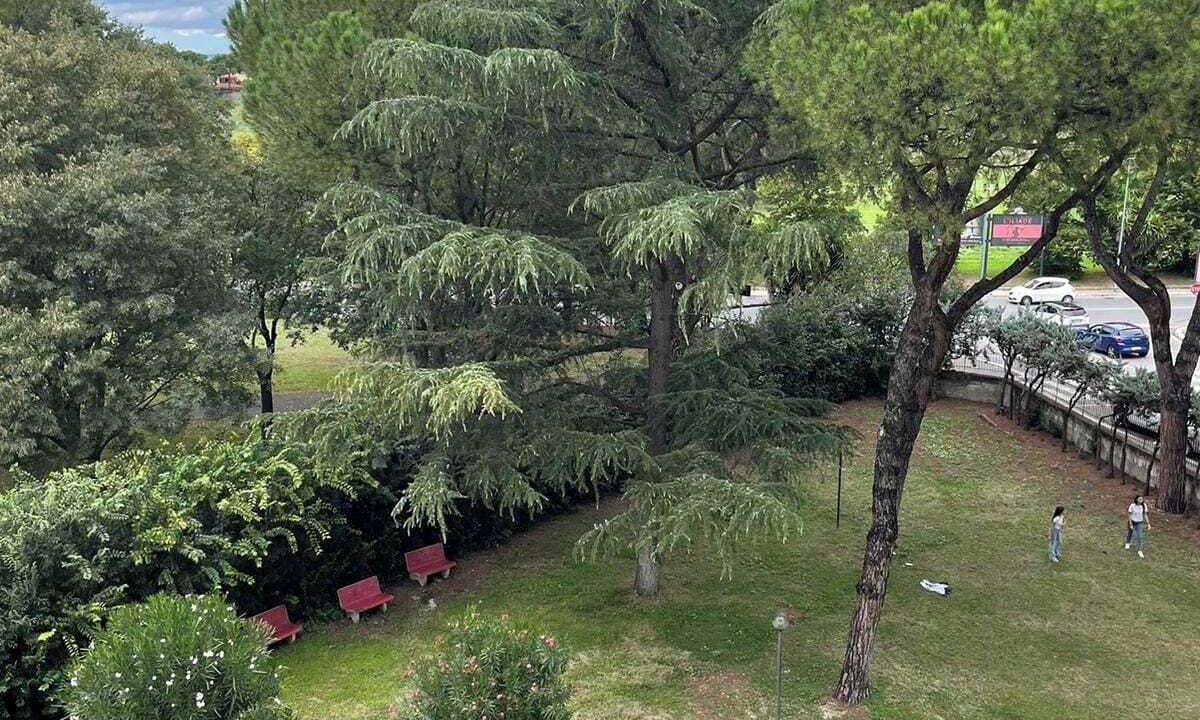 Photo of Outdoor in Zona XII Torre Spaccata
