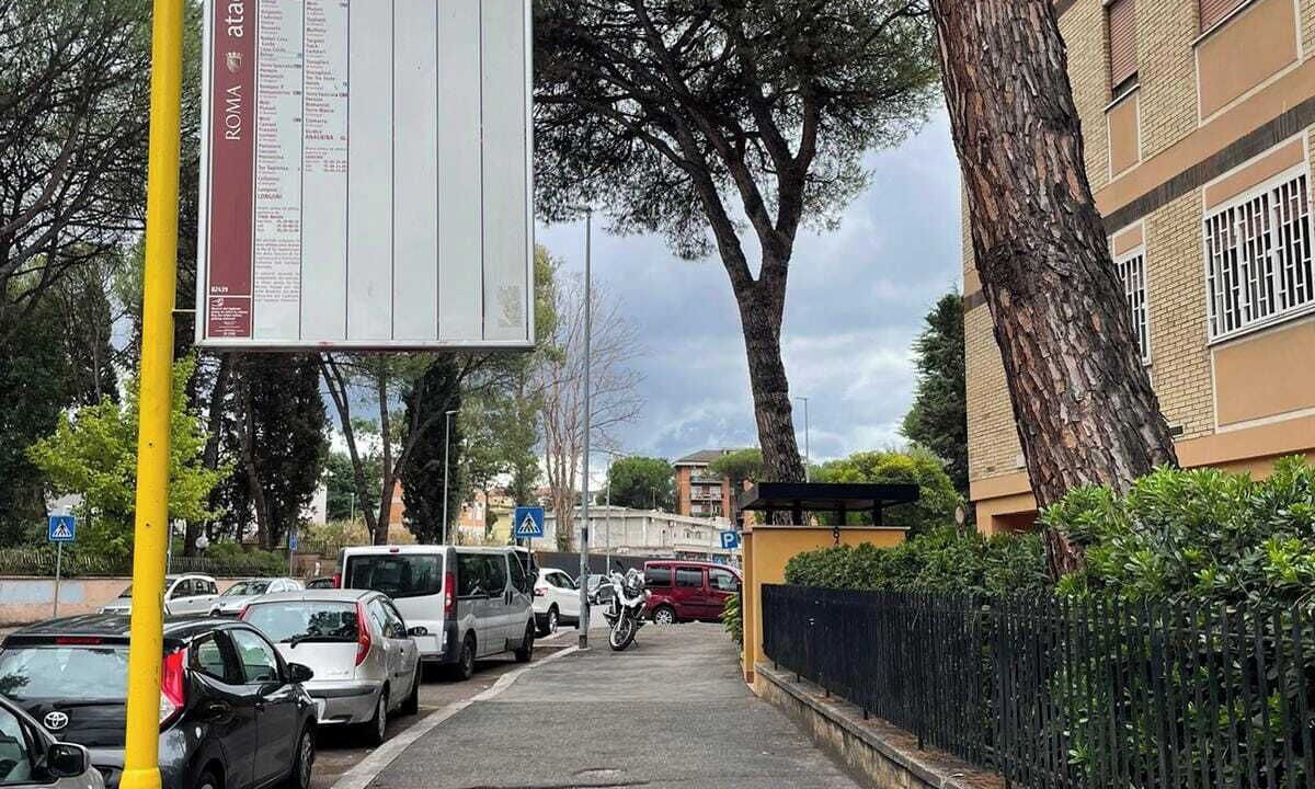 Photo of Others in Zona XII Torre Spaccata
