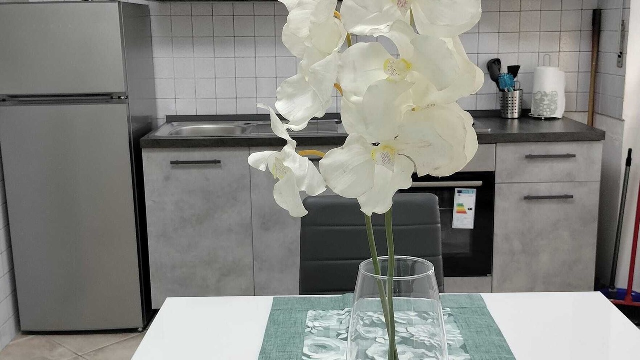 Photo of Kitchen in Zona XII Torre Spaccata