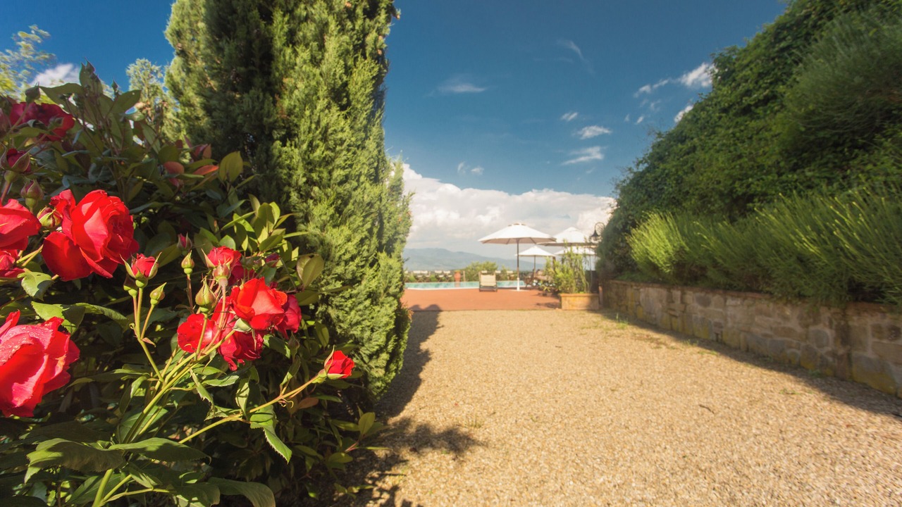 Photo of Outdoor in Gaville
