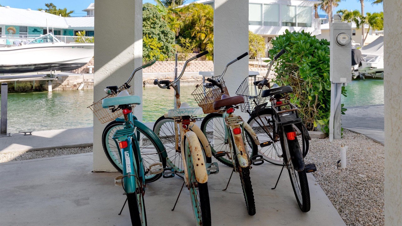 Photo of Others in Cudjoe Key