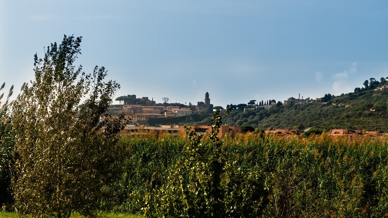Photo of Others in Castiglione della Pescaia
