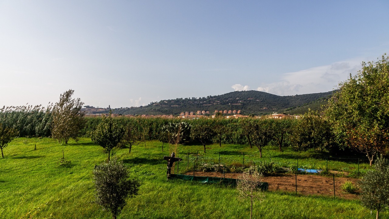 Photo of Others in Castiglione della Pescaia