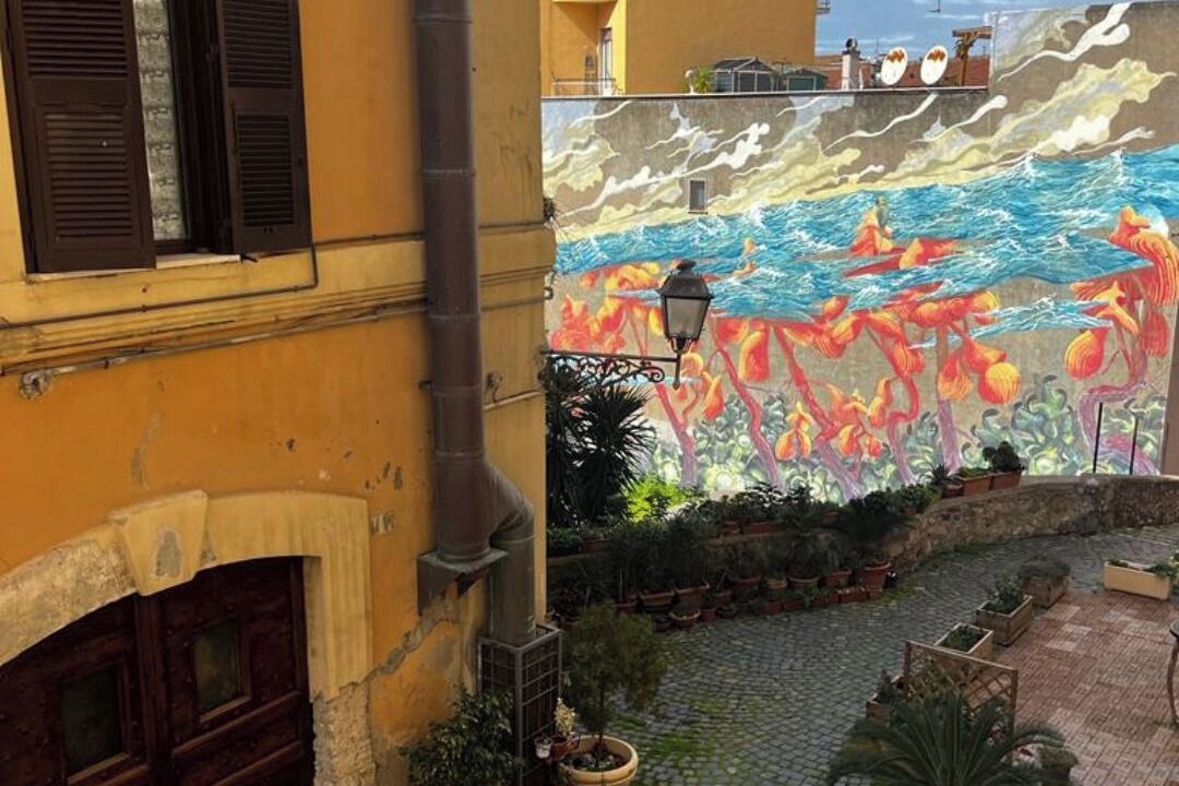 Photo of Outdoor in Civitavecchia