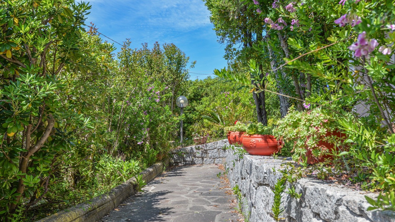 Photo of Outdoor in Bonalaccia-Filetto