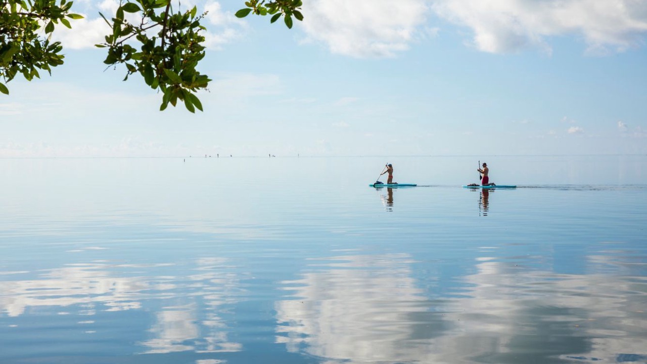 Photo of Others in Islamorada