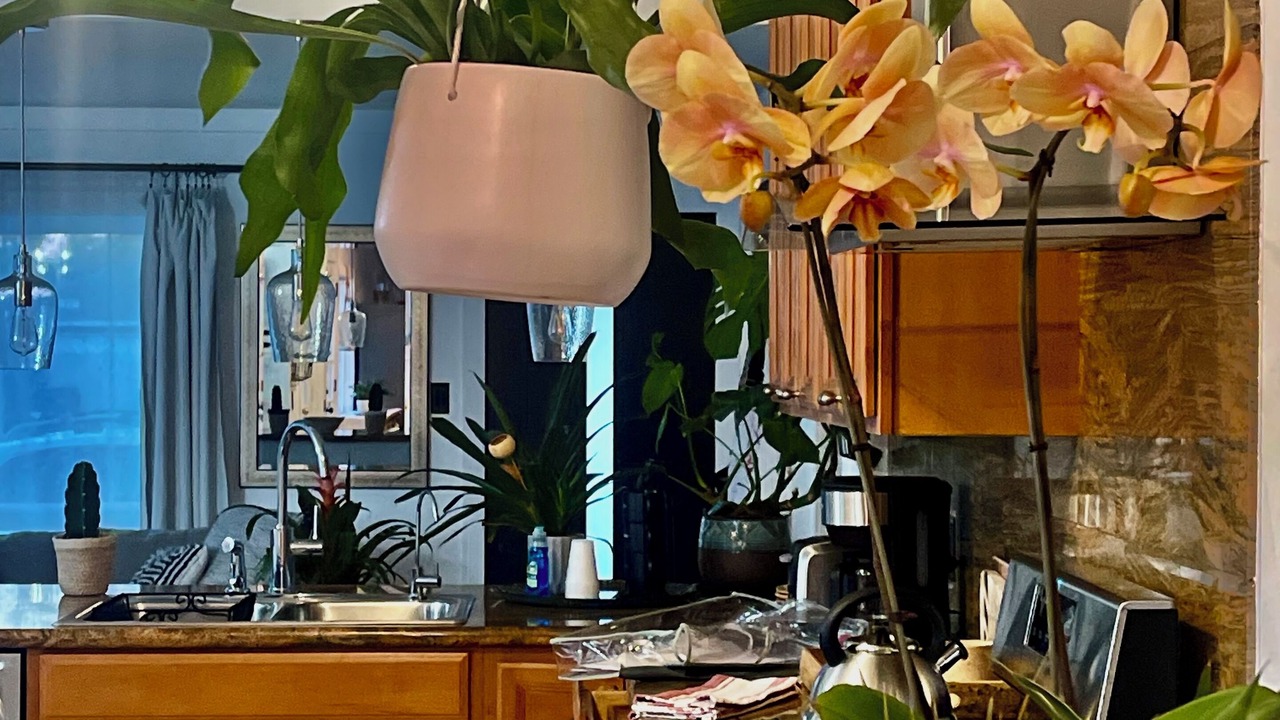 Photo of Kitchen in Lawndale