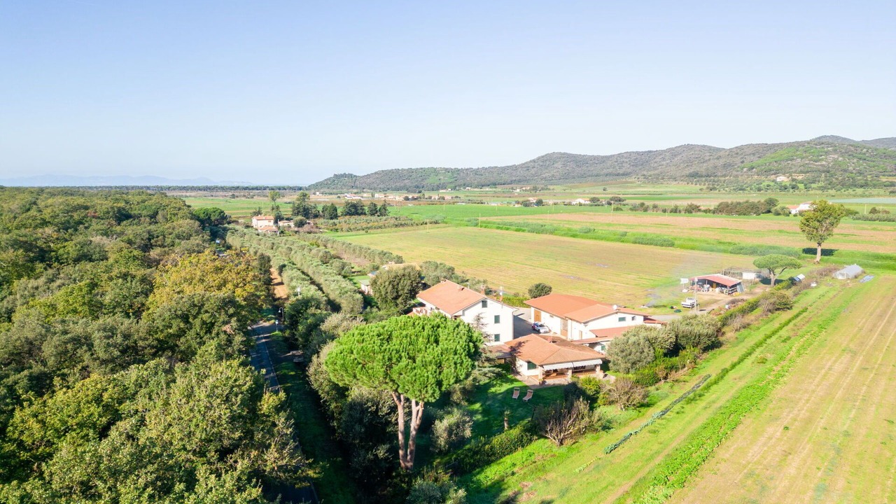 Photo of Others in Castiglione della Pescaia