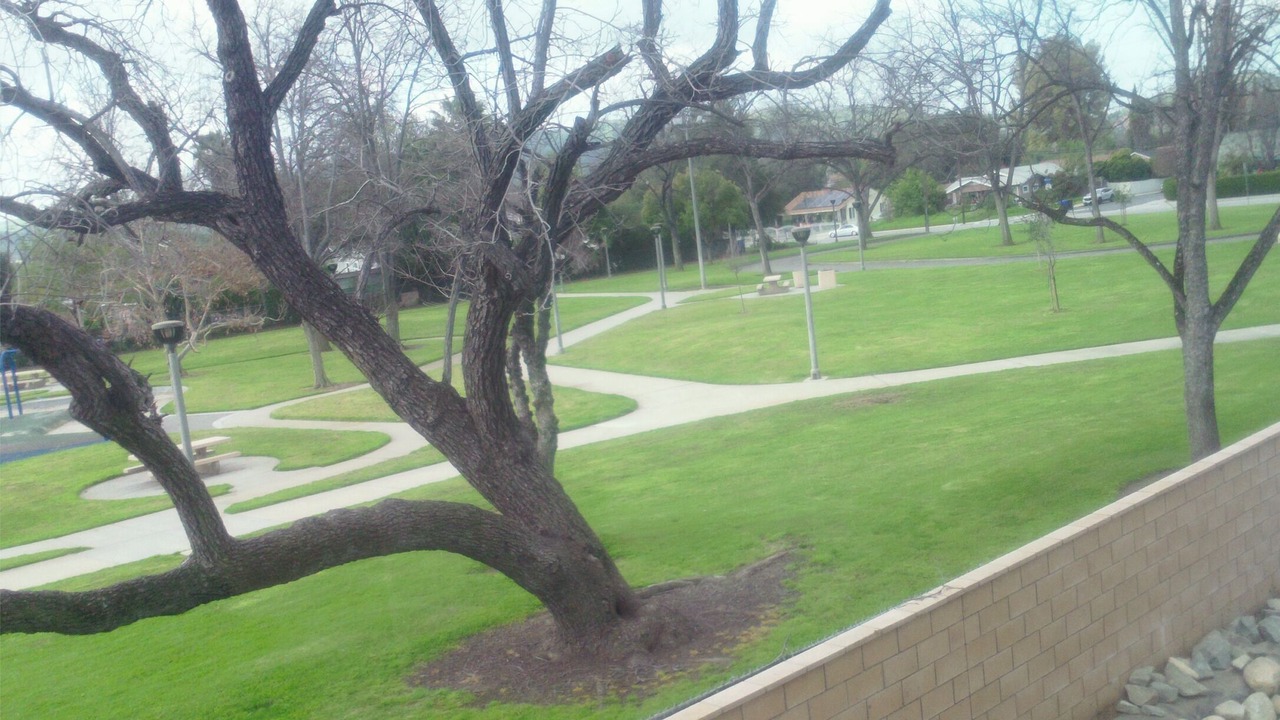 Photo of Outdoor in Pomona