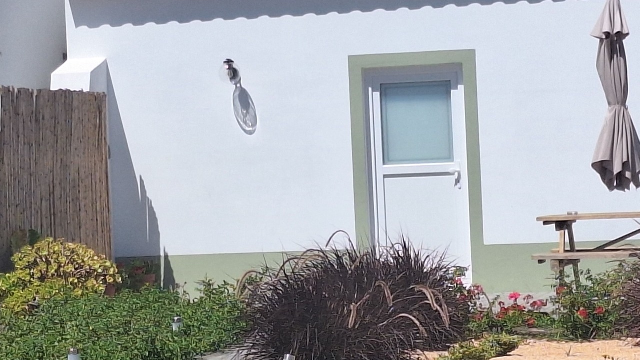 Photo of Others in Zambujeira do Mar