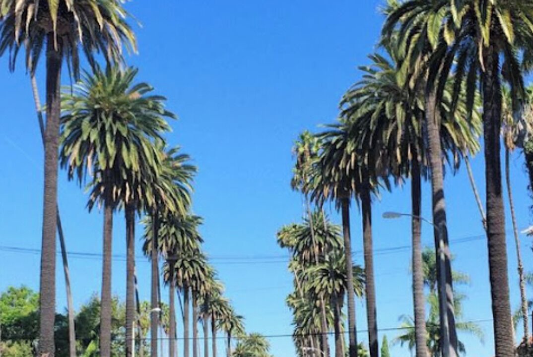 Photo of Others in Beverly Glen