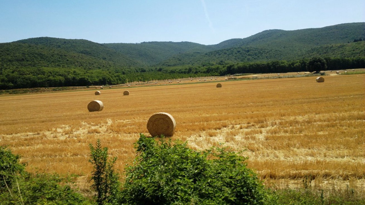 Photo of Others in Bivio Lugnano