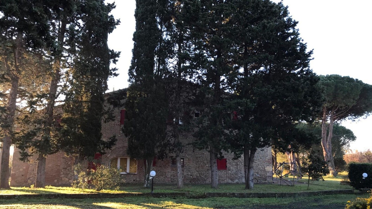 Photo of Outdoor in Bibbona