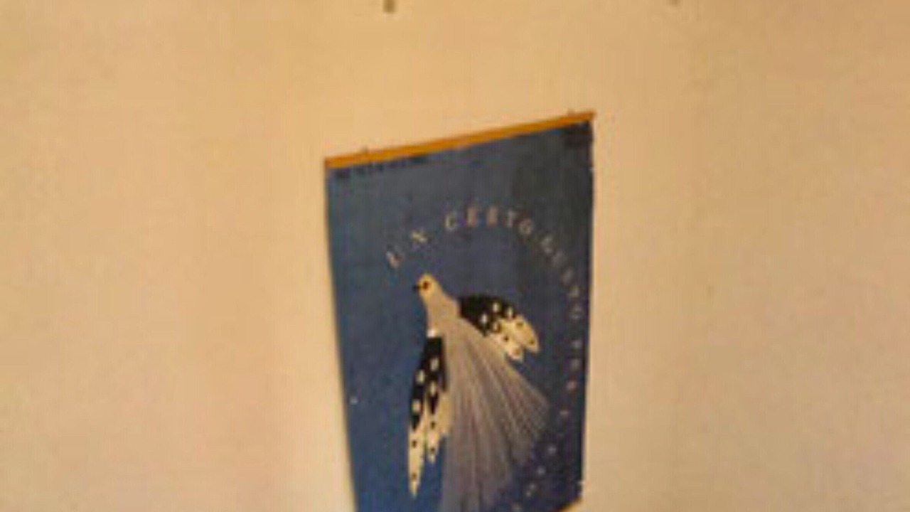 Photo of Bedroom in Bibbona