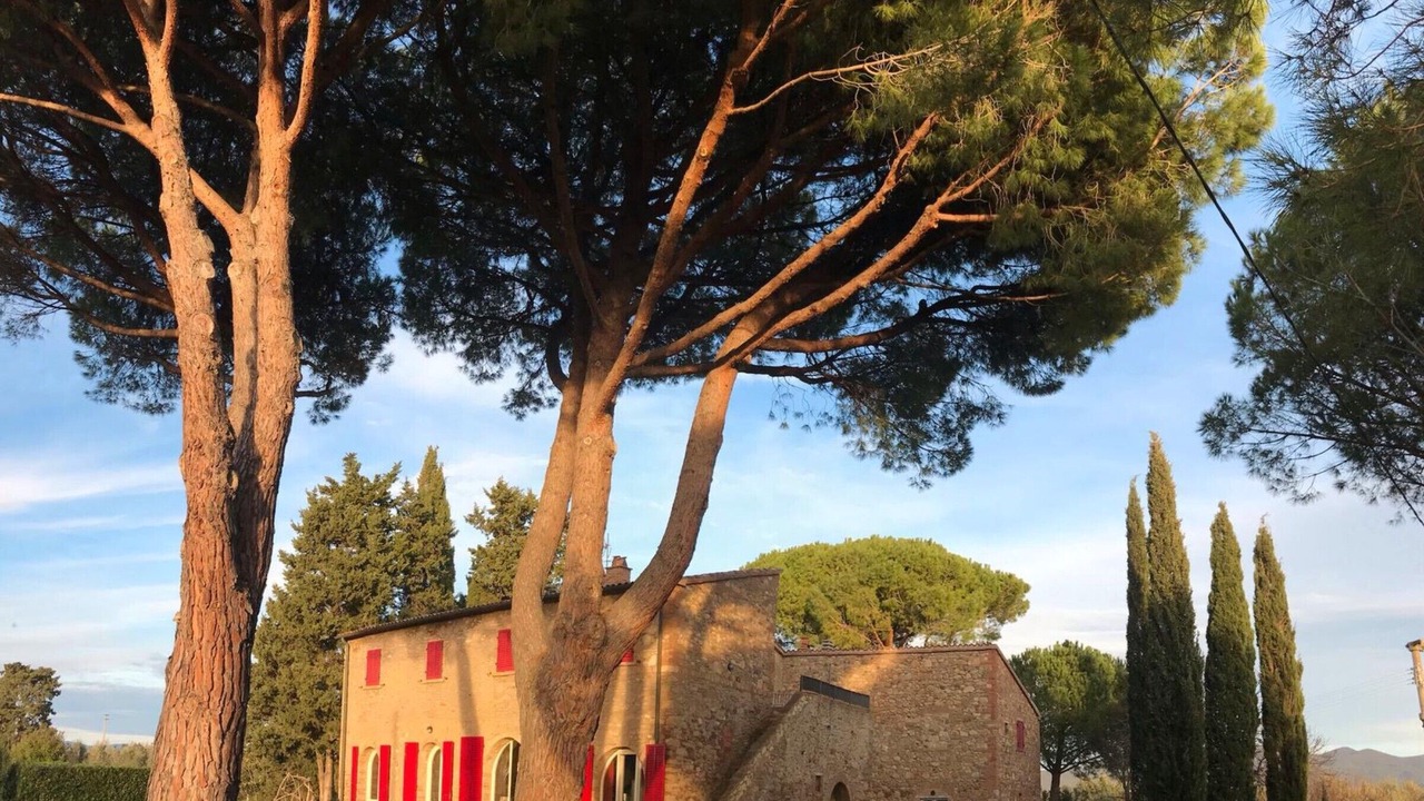 Photo of Outdoor in Bibbona