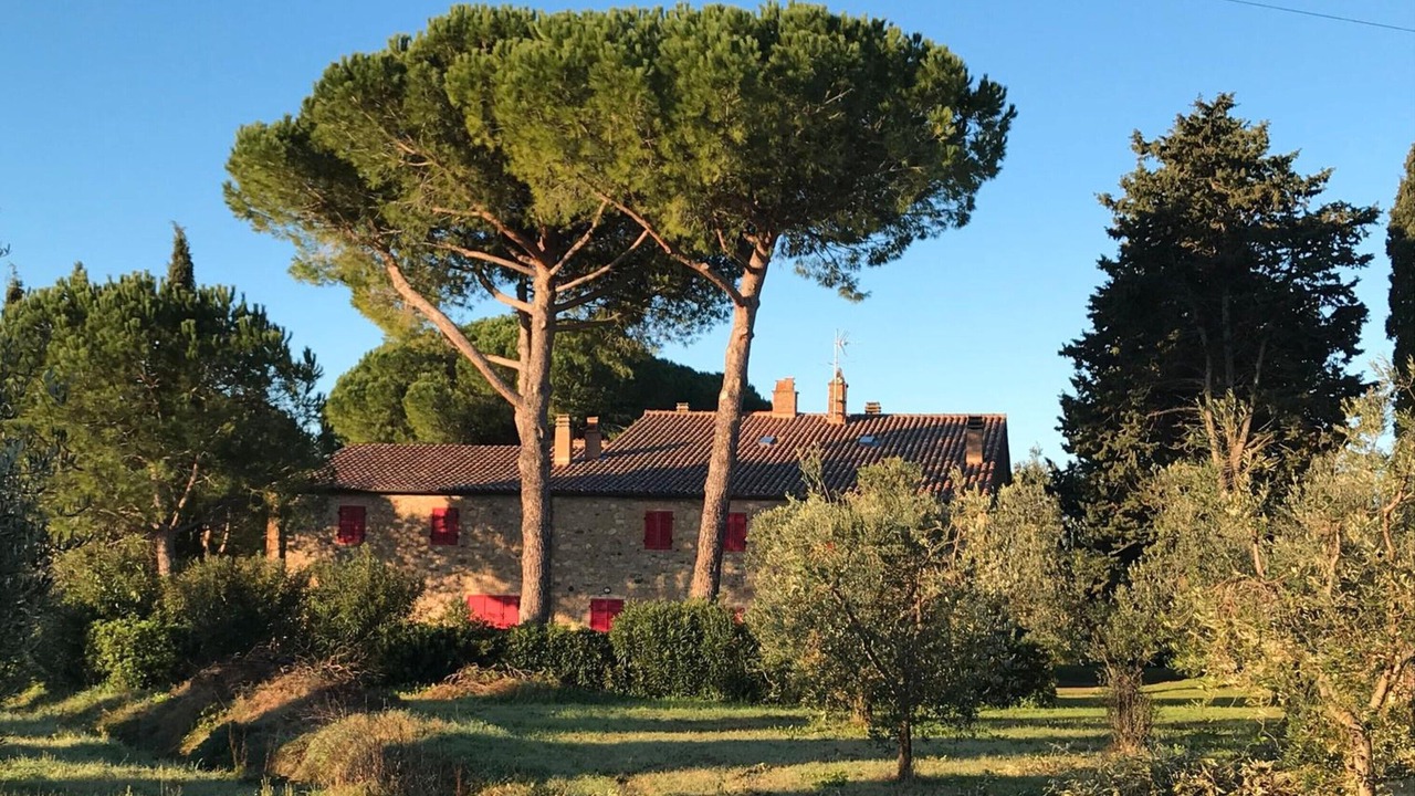 Photo of Outdoor in Bibbona