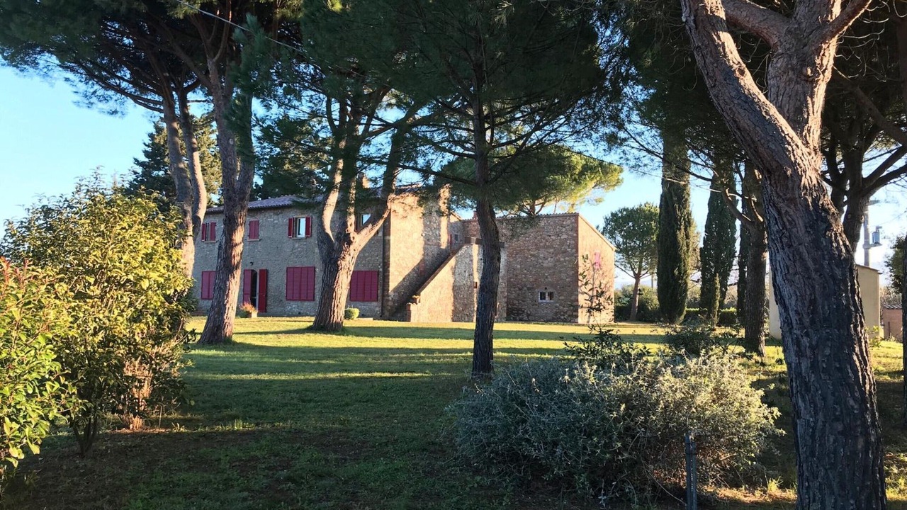 Photo of Outdoor in Bibbona