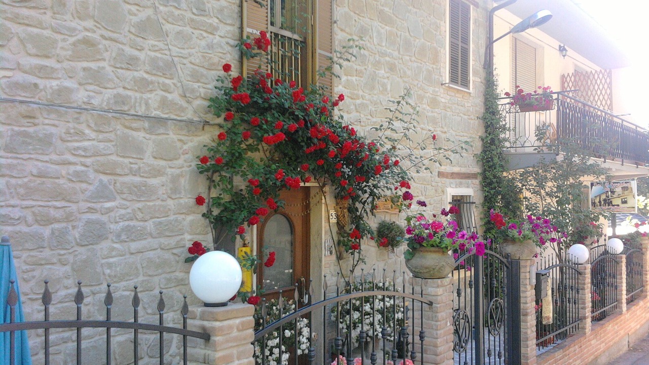 Photo of Outdoor in Marsia