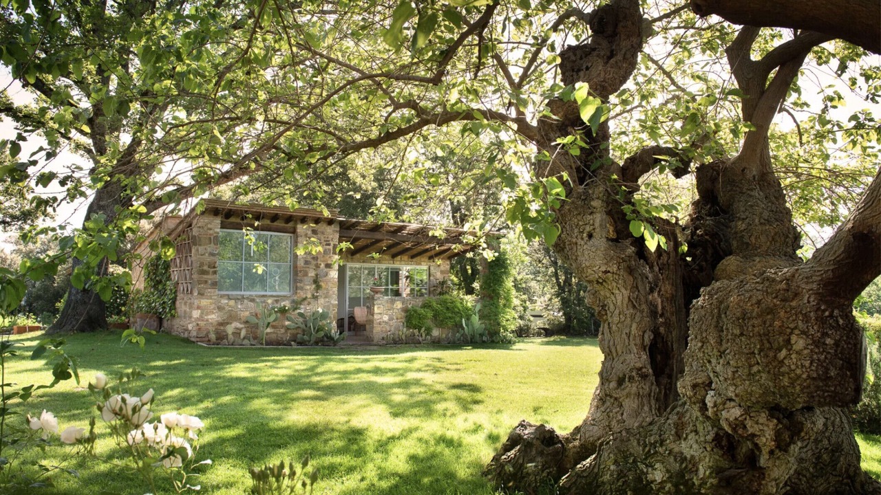 Photo of Outdoor in Greve in Chianti