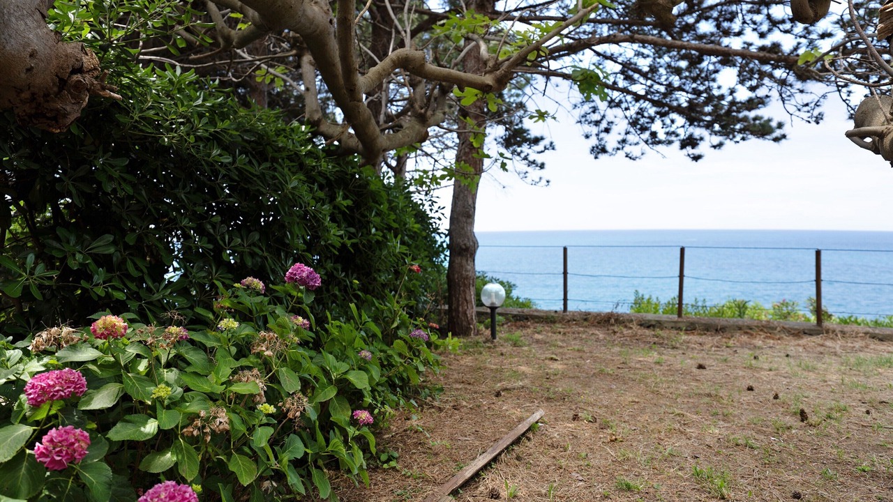 Photo of Outdoor in Moneglia
