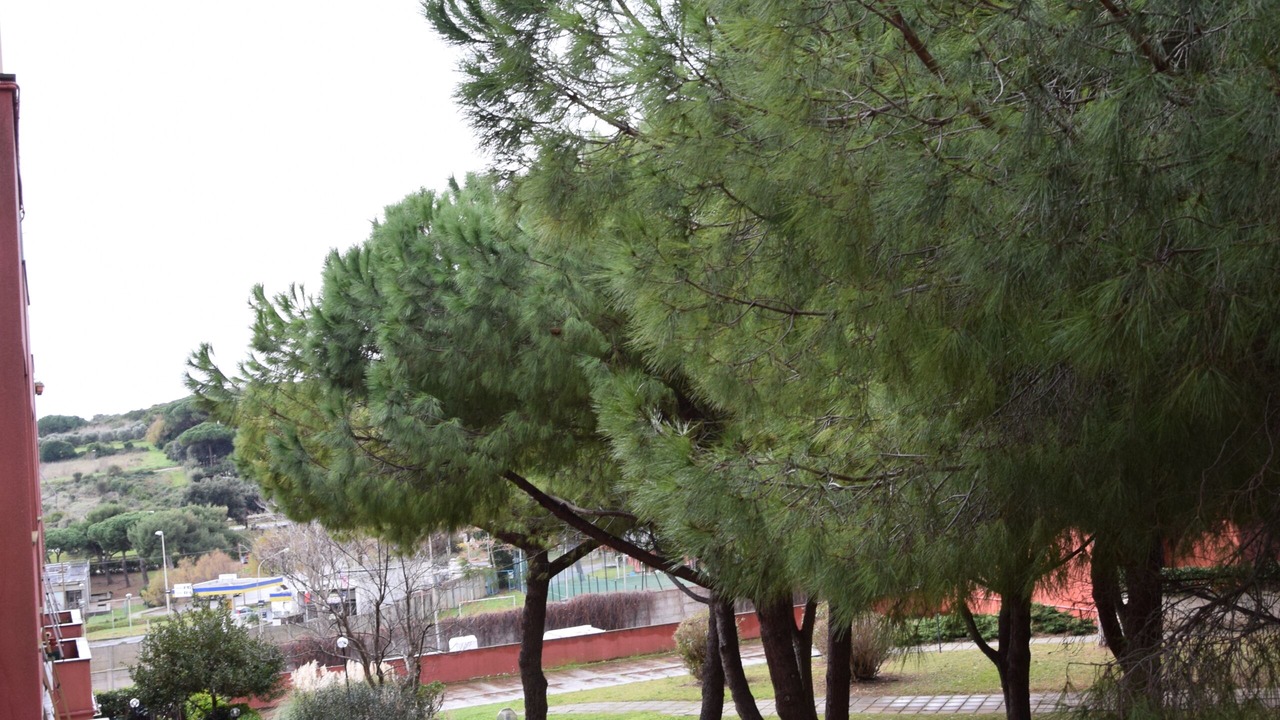 Photo of Outdoor in Piombino