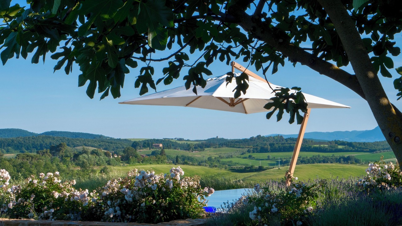 Photo of Outdoor in Torrita di Siena