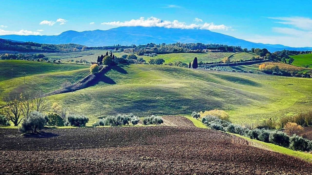 Photo of Others in Torrita di Siena