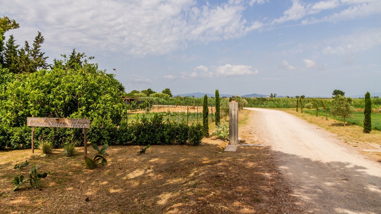 Photo of Outdoor in Principina a Mare