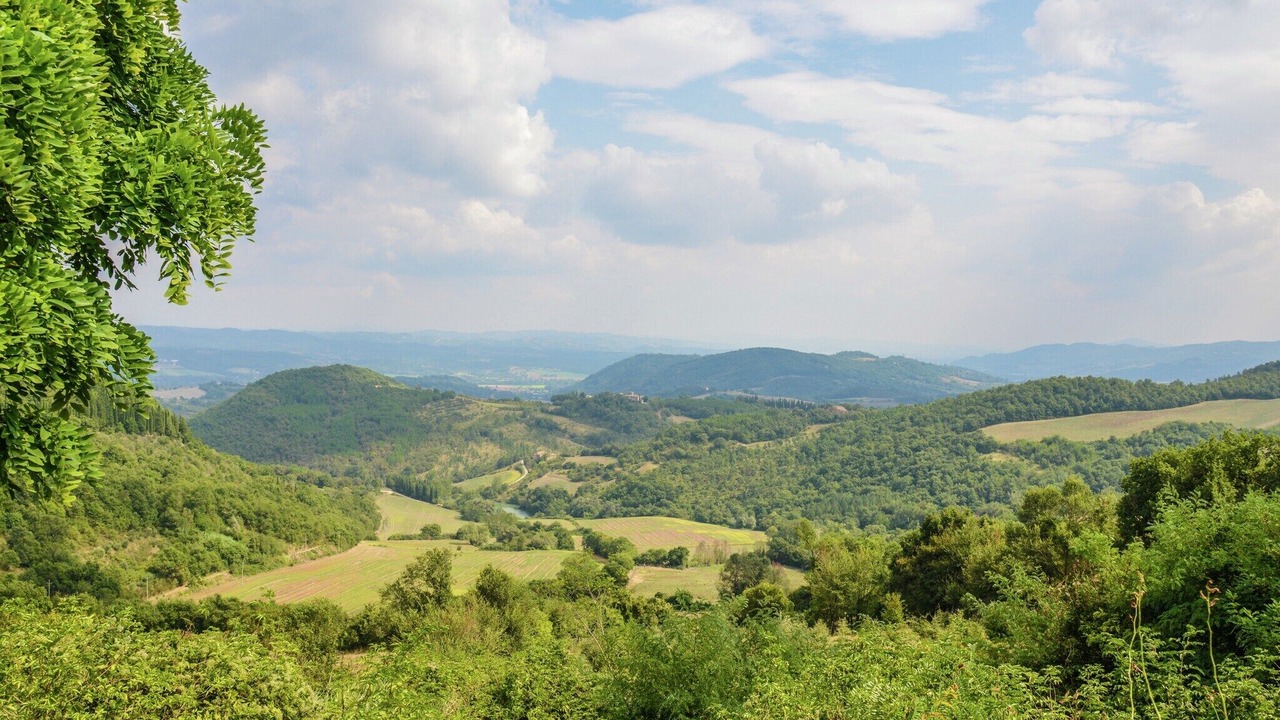 Photo of Others in Monte Santa Maria Tiberina